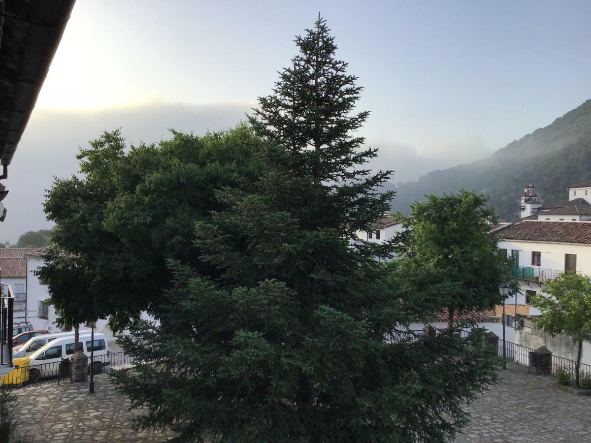 Vivelorural Casa Tassone, Grazalema - Cadiz别墅 外观 照片