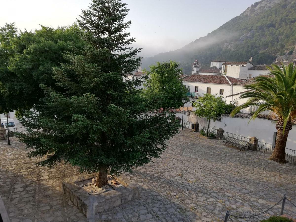 Vivelorural Casa Tassone, Grazalema - Cadiz别墅 外观 照片