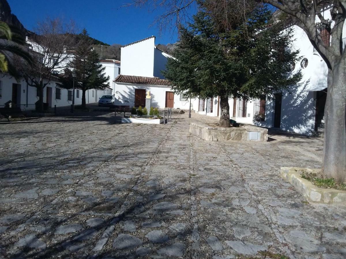 Vivelorural Casa Tassone, Grazalema - Cadiz别墅 外观 照片