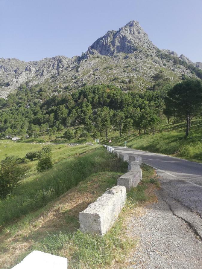Vivelorural Casa Tassone, Grazalema - Cadiz别墅 外观 照片
